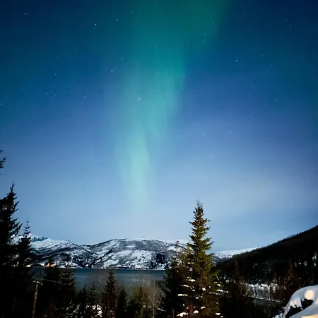 Maxi With Sauna And Jacuzzi * Kovan