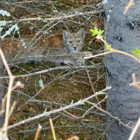 Maxi With Sauna And Jacuzzi Дом отдыха Kovan