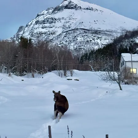 Дом отдыха Maxi With Sauna And Jacuzzi *
