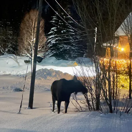 Maxi With Sauna And Jacuzzi Kovan