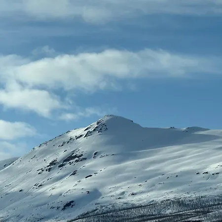 Дом отдыха Maxi With Sauna And Jacuzzi
